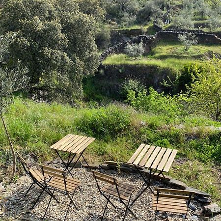 Casas Rurales Prunus Avium Caminomorisco 外观 照片